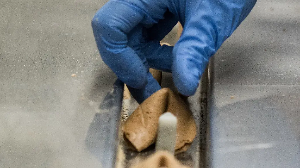 a7ebe6d5df058aa3c3dd8163ed1c3a22