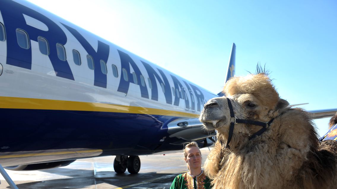 Ryanair: Überflieger in der Billigflugbranche. Damit das auch so bleibt, will der Konzern die Ticketpreise erhöhen und gestiegene Spritkosten auf die Fluggäste abwälzen.