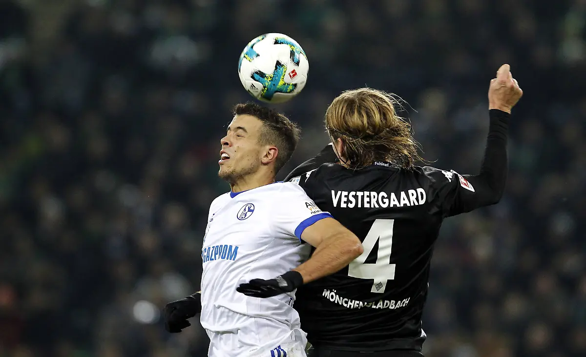 55a8c34435d28984afd8383d2203268e