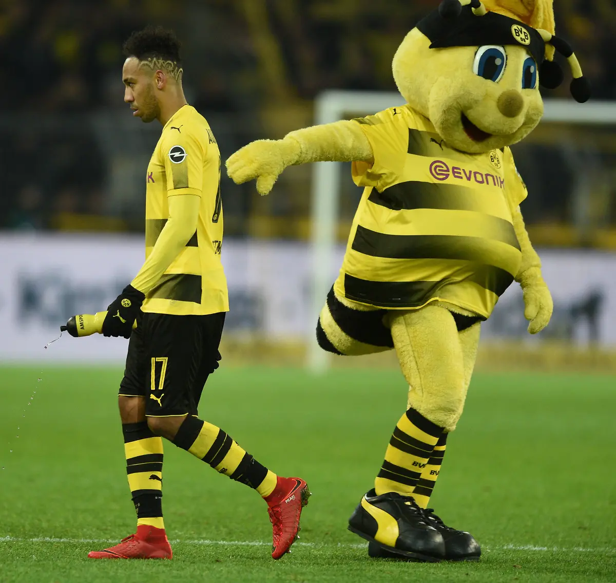 bc8b60f6ff9e55d0490a96493d52d47f