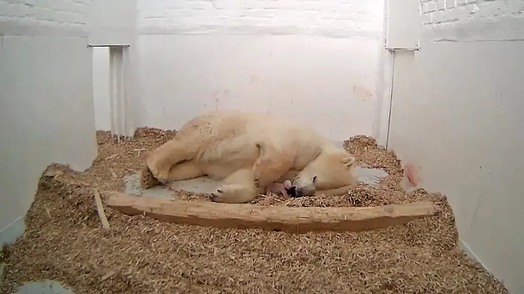 91b9e63d90424c043c55ada6e993d35f