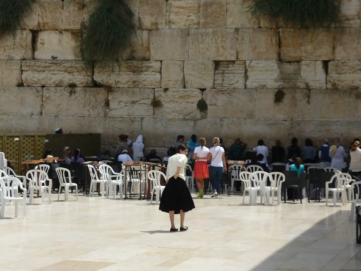 11875249-969701933088111-6812830574150434504-o