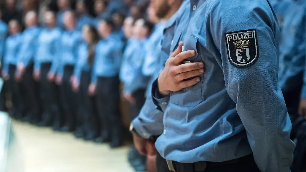 cc0fd4baae8488219f40bcdb2fe421cc