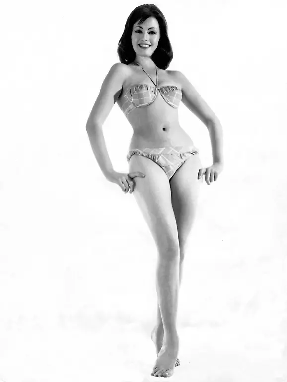 18ed6f8271fd8836f079bc54df38ea09