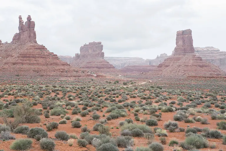 4e96ee168fac6339401c763522513a4e