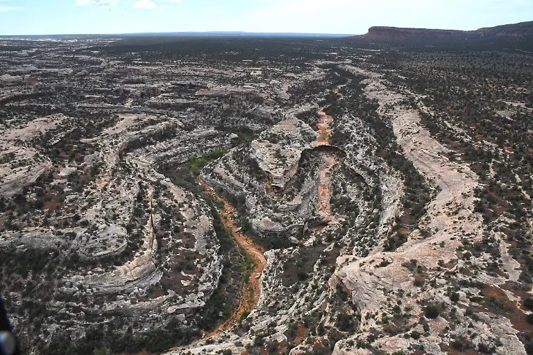 2adfd890005b9a82cbba773a2563421c