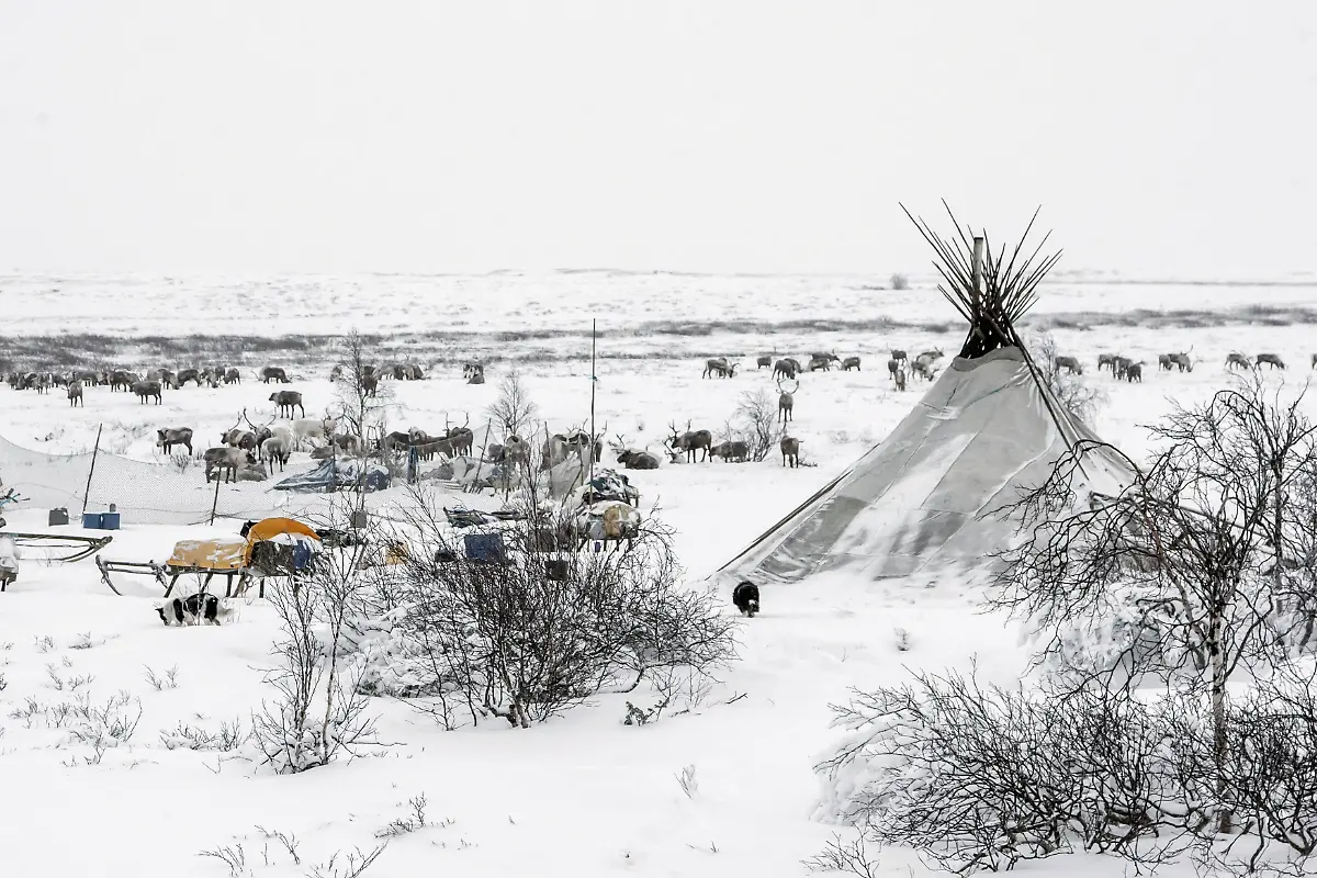 Farm-nomaden-russland