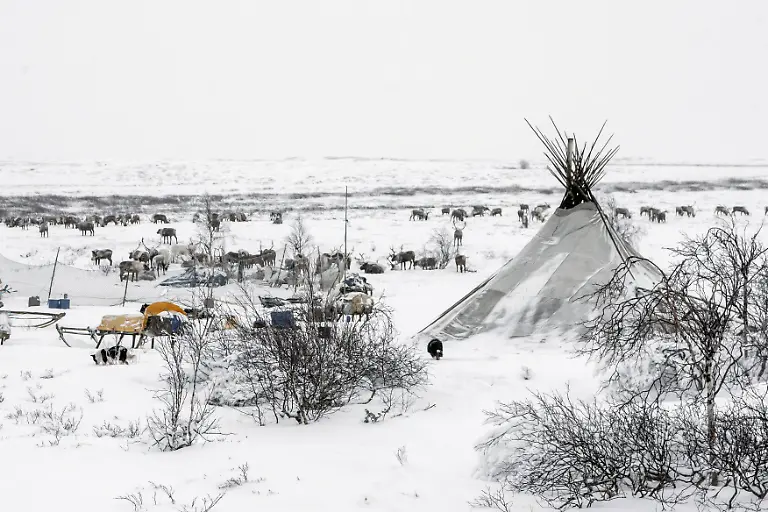 Farm-nomaden-russland