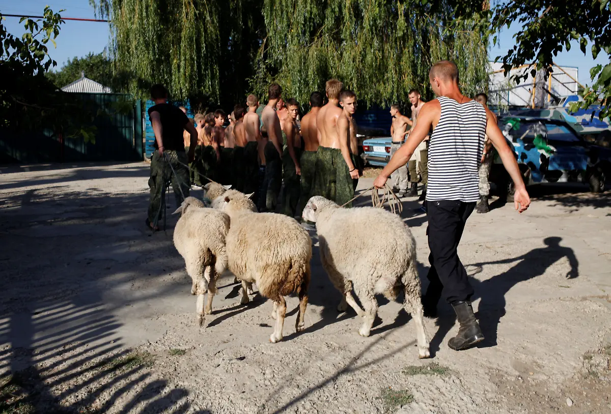 4539aa167851e81e5fc73397deb24647