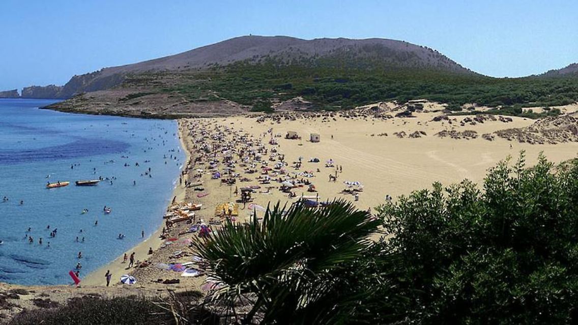 Gewinner der Saison: Auf Mallorca werden sich in den Sommerferien 2011 wieder mehr deutsche Urlauber sonnen als im Jahr davor.