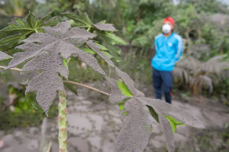 a7503c06a6429837bb714d1798c3a3d8