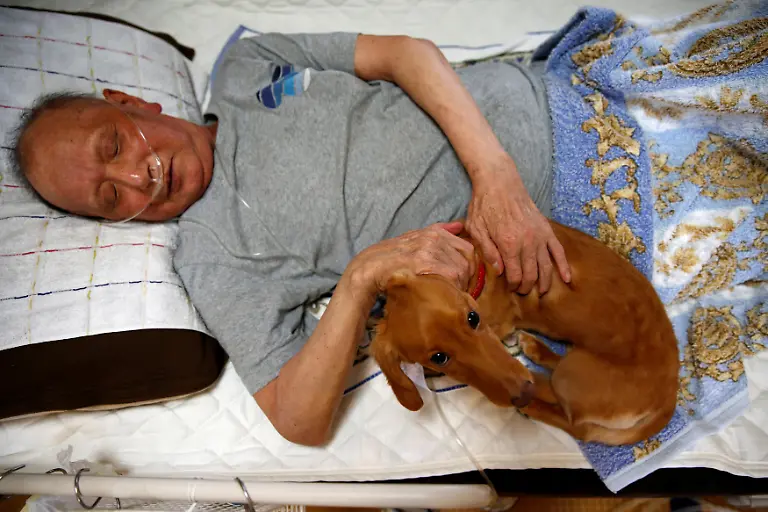 f54fc798d351ac0604938e252d3336ff