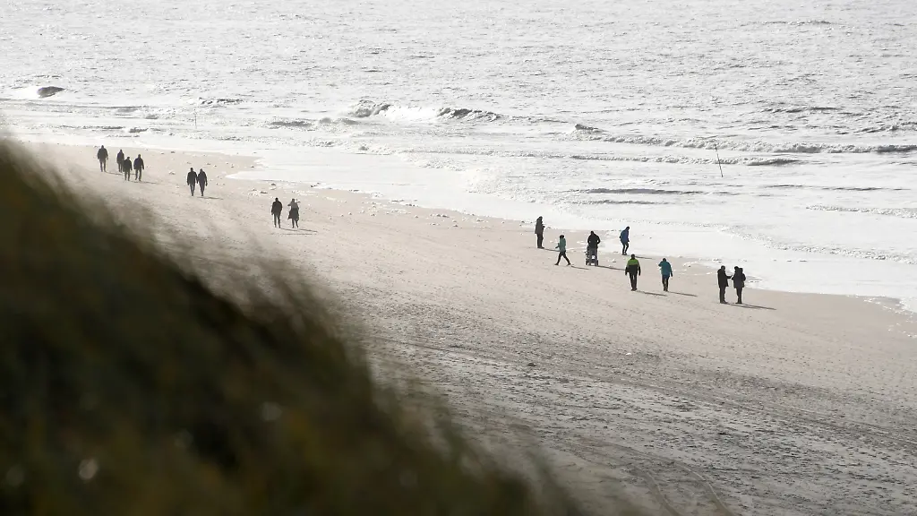 aa763933e8f3e8cc5b333c46a7d53409