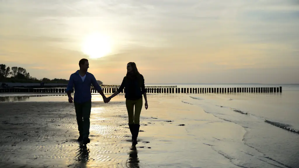 Nur-im-Zusammenhang-mit-dem-genannten-Text