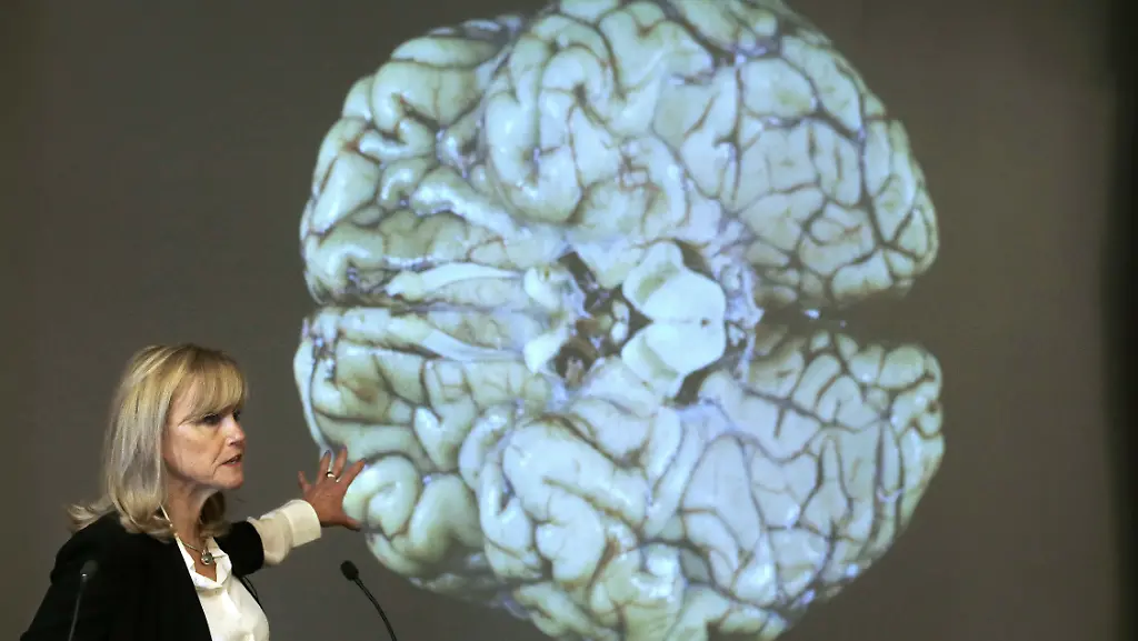 2eb6779040bfa4bec4b79e5f22345d69