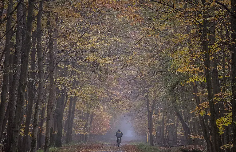 cd4eddbbbda9696db1055e0e5f5a1fb2