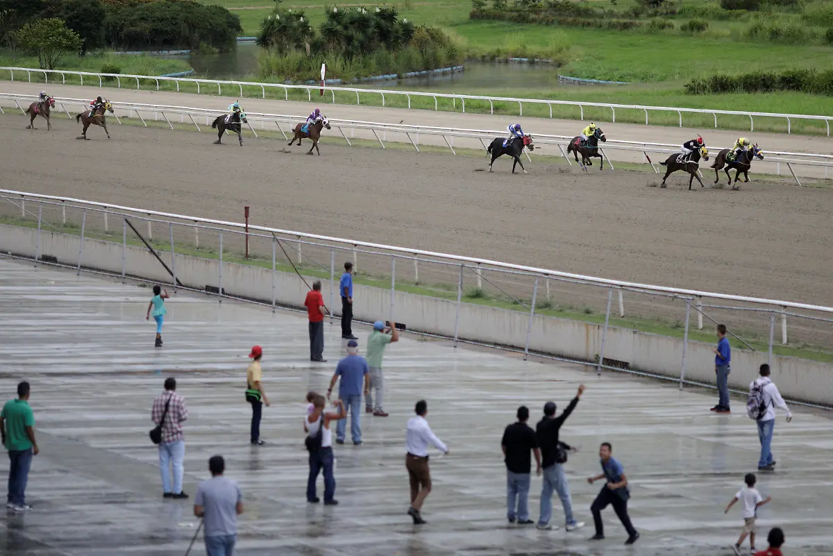 a469a079abc64633f6e982d06d6fdad2