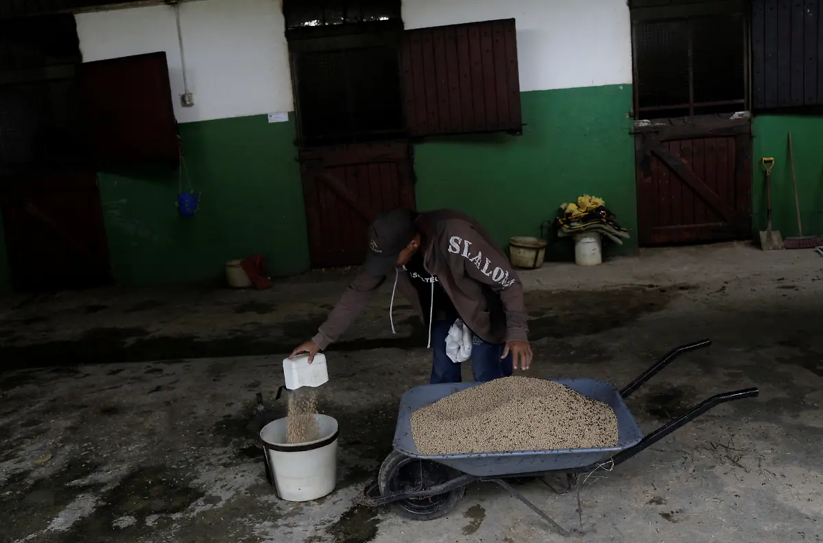 2e38fe3f26430f2e73a04be8b944ec4e