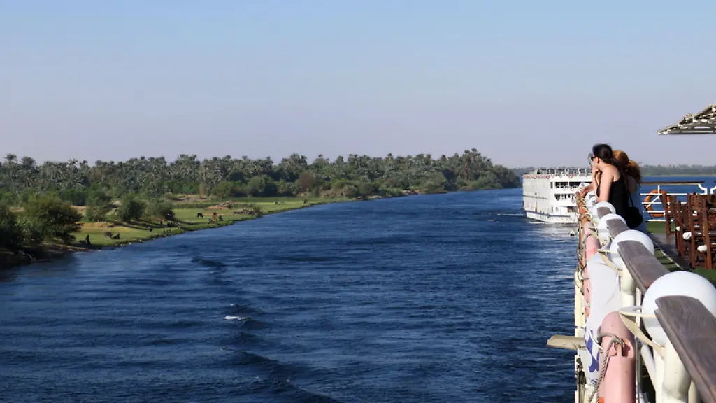 Wo-der-Nil-Aegypten-mit-Wasser-versorgt-ist-das-Land-sattgruen-Entlang-des-Ufers-wachsen-Palmenhaine-und-saftige-Weidewiesen-fuer-die-Kuehe