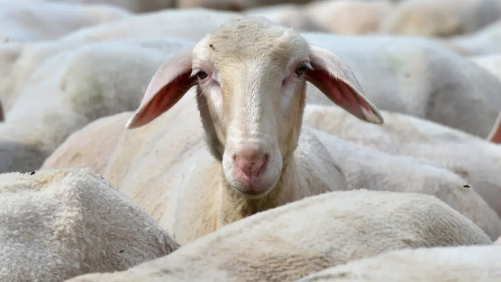 229a8e59f5e5a6339176d752aad25d9d