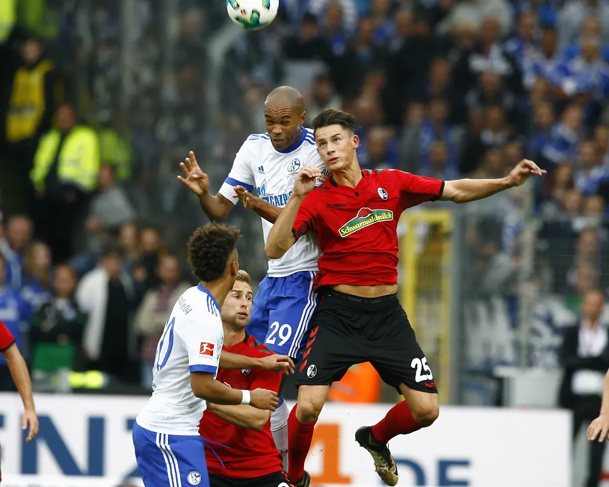 9fa8a4a22f945a825bf44f090c83d2ed