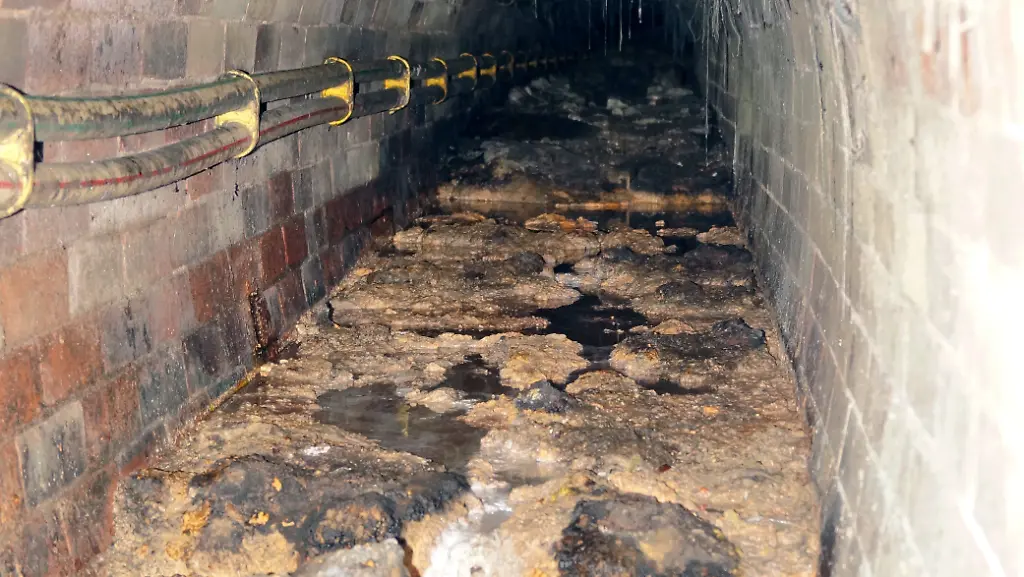 1e4d829fb33f92f85340b40932bb0f5c