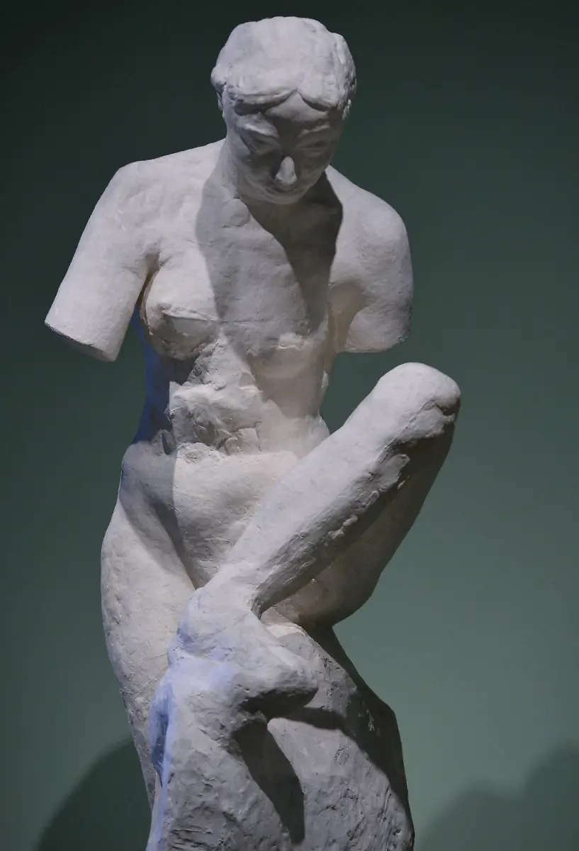 Rodin1