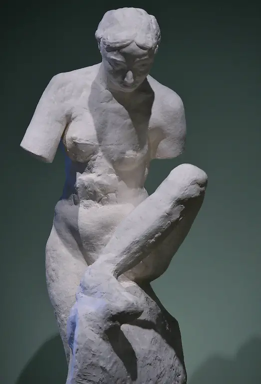 Rodin1