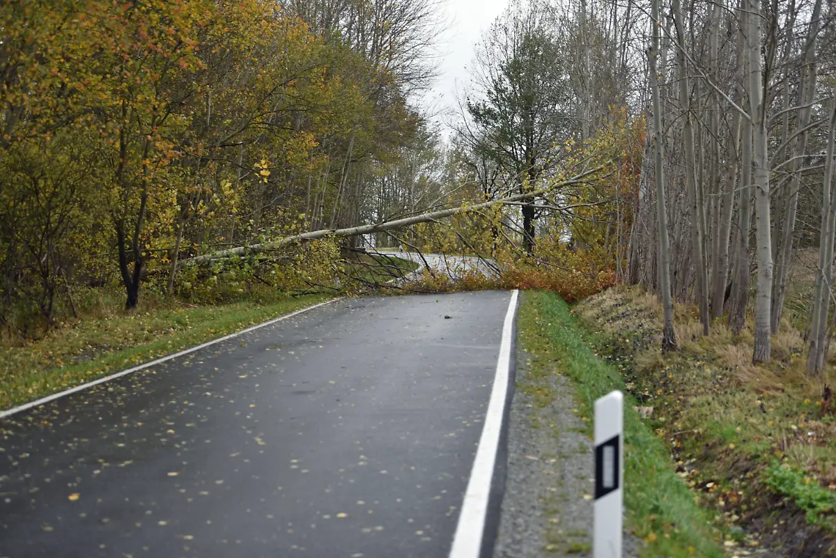 d2af6ec185f84f2c052843c04971e155