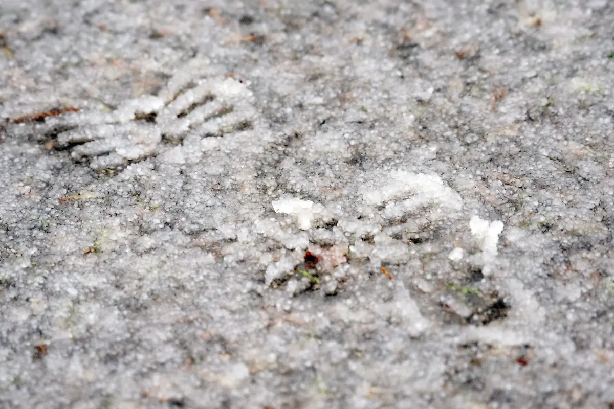 35d6279dd18428e1bf733f09f7ea4968