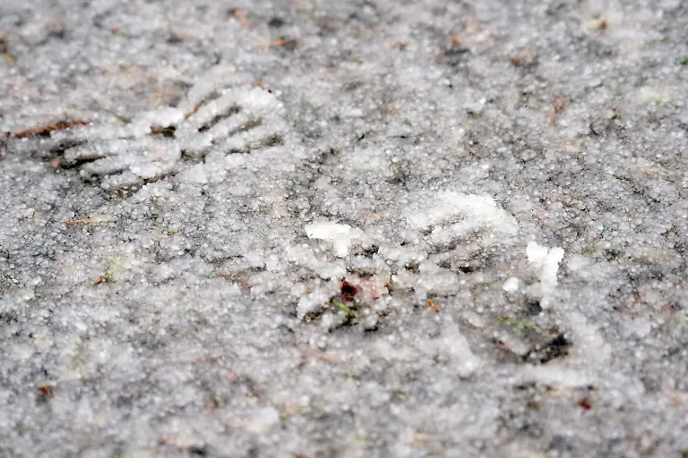 35d6279dd18428e1bf733f09f7ea4968