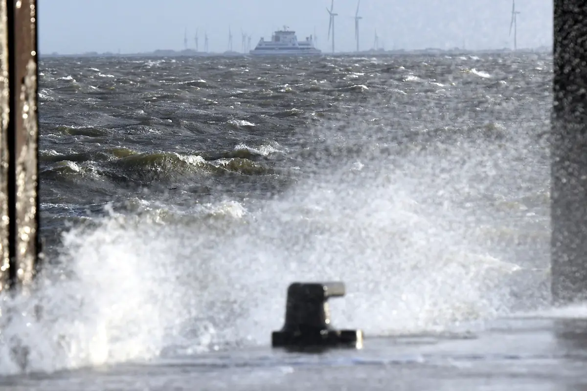 412aadab3a86b655f6cb4ea415e6e5fe