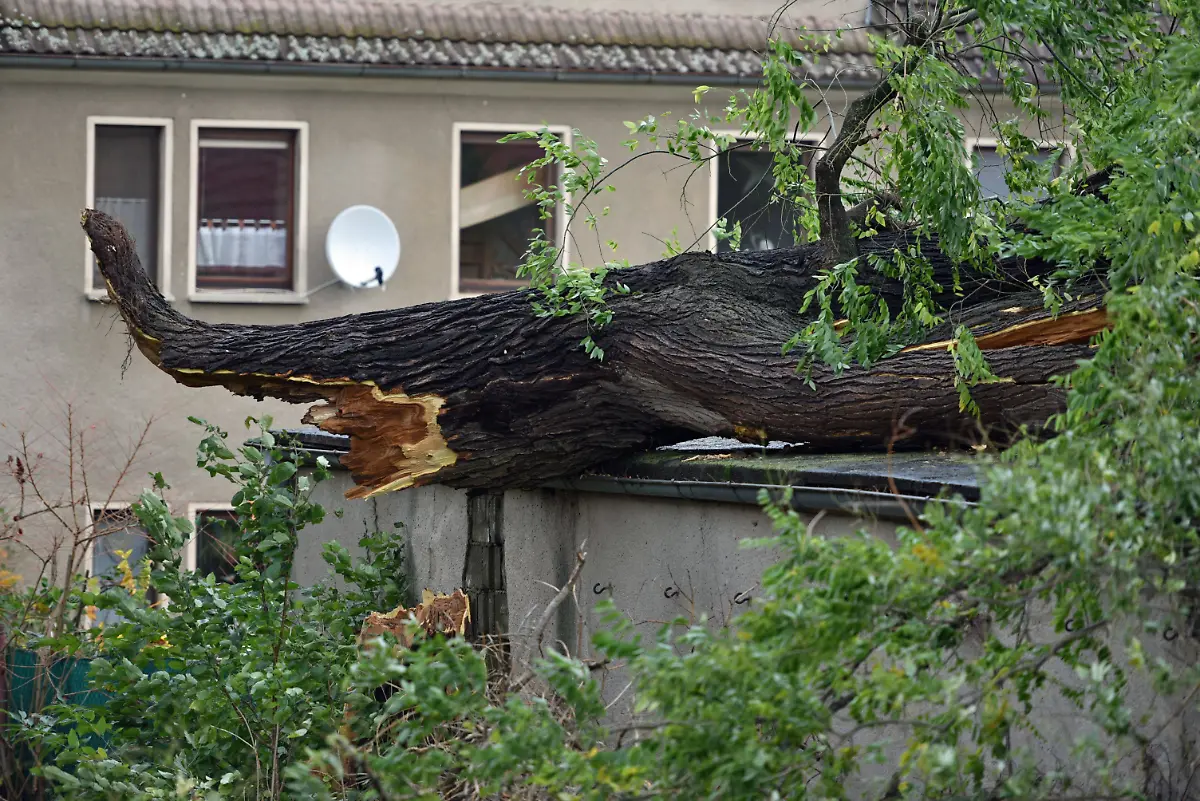 fca45d4eb9b70a4fa79ef59ba5cd4223