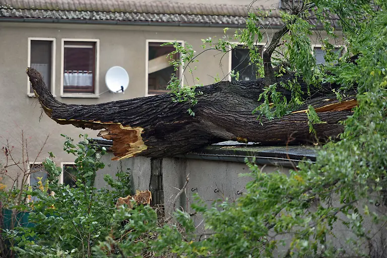 fca45d4eb9b70a4fa79ef59ba5cd4223