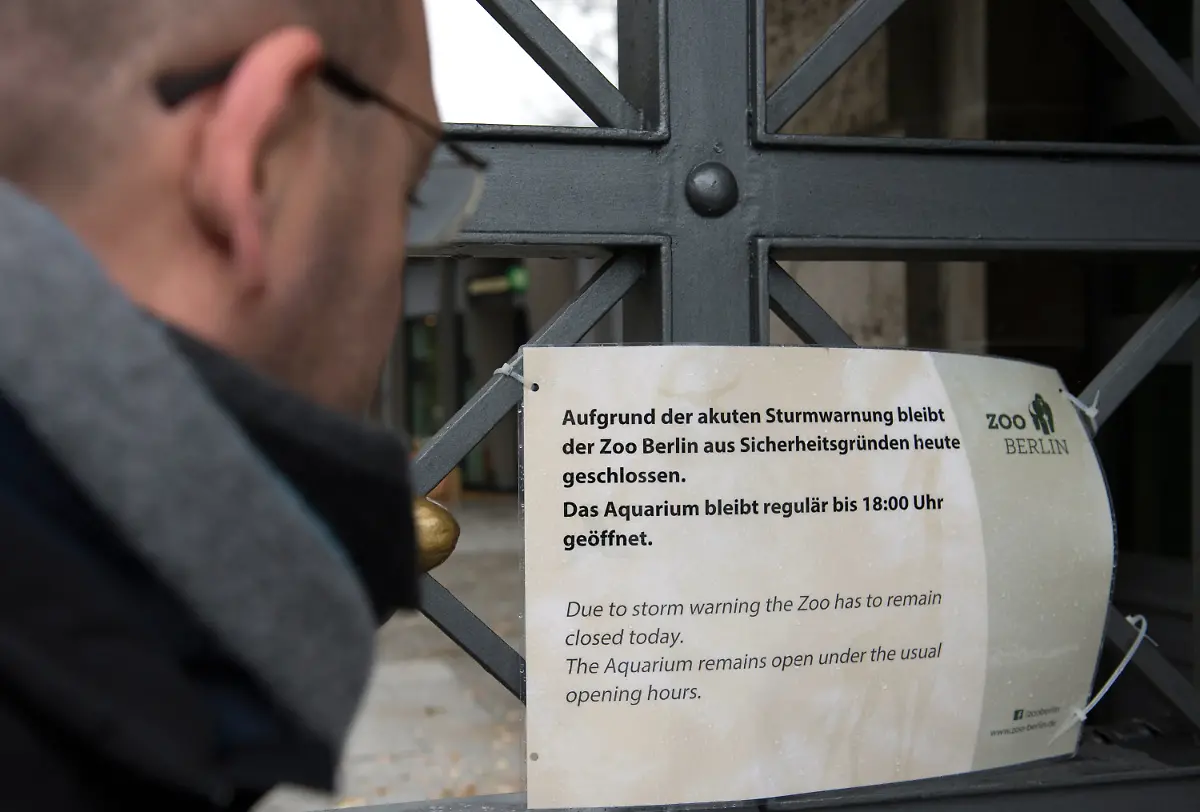 29cabed39d39487fe1c919a08321b8ae