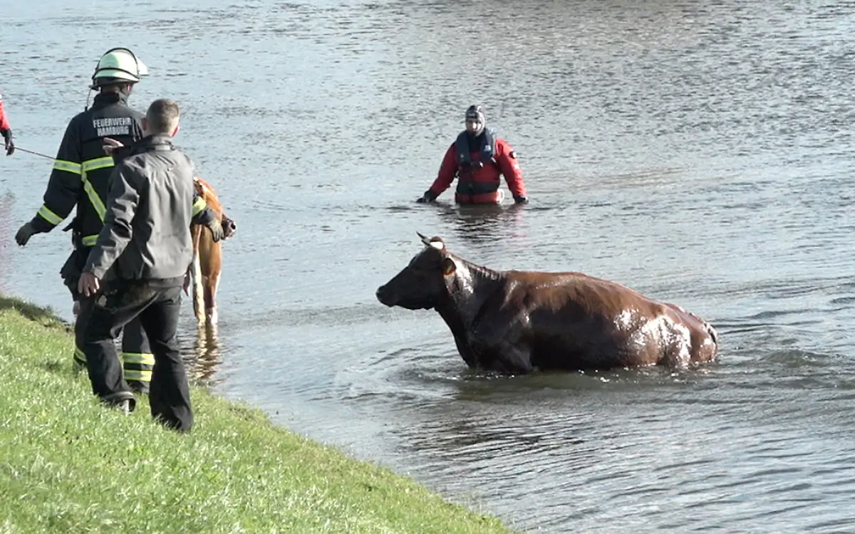 02f27d8fc15003e9f1e11b46eb3e5432