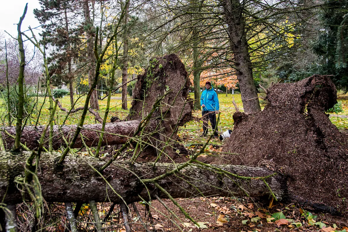 494a2f1e9169c519b0fbbea026c877be