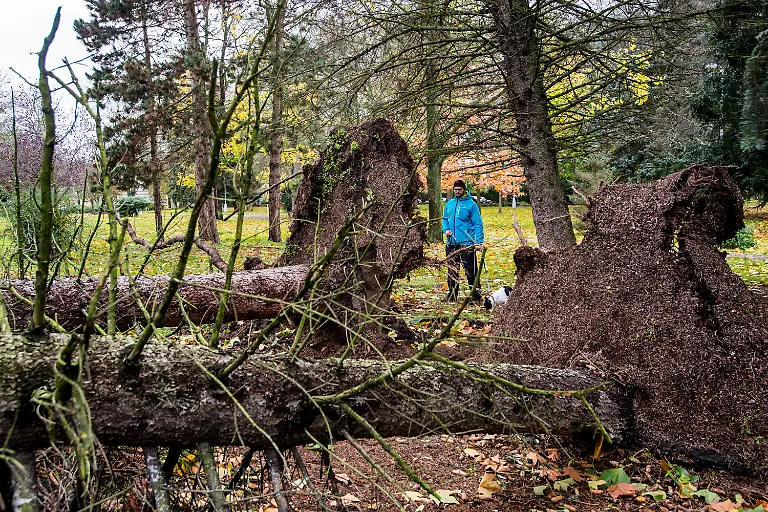 494a2f1e9169c519b0fbbea026c877be