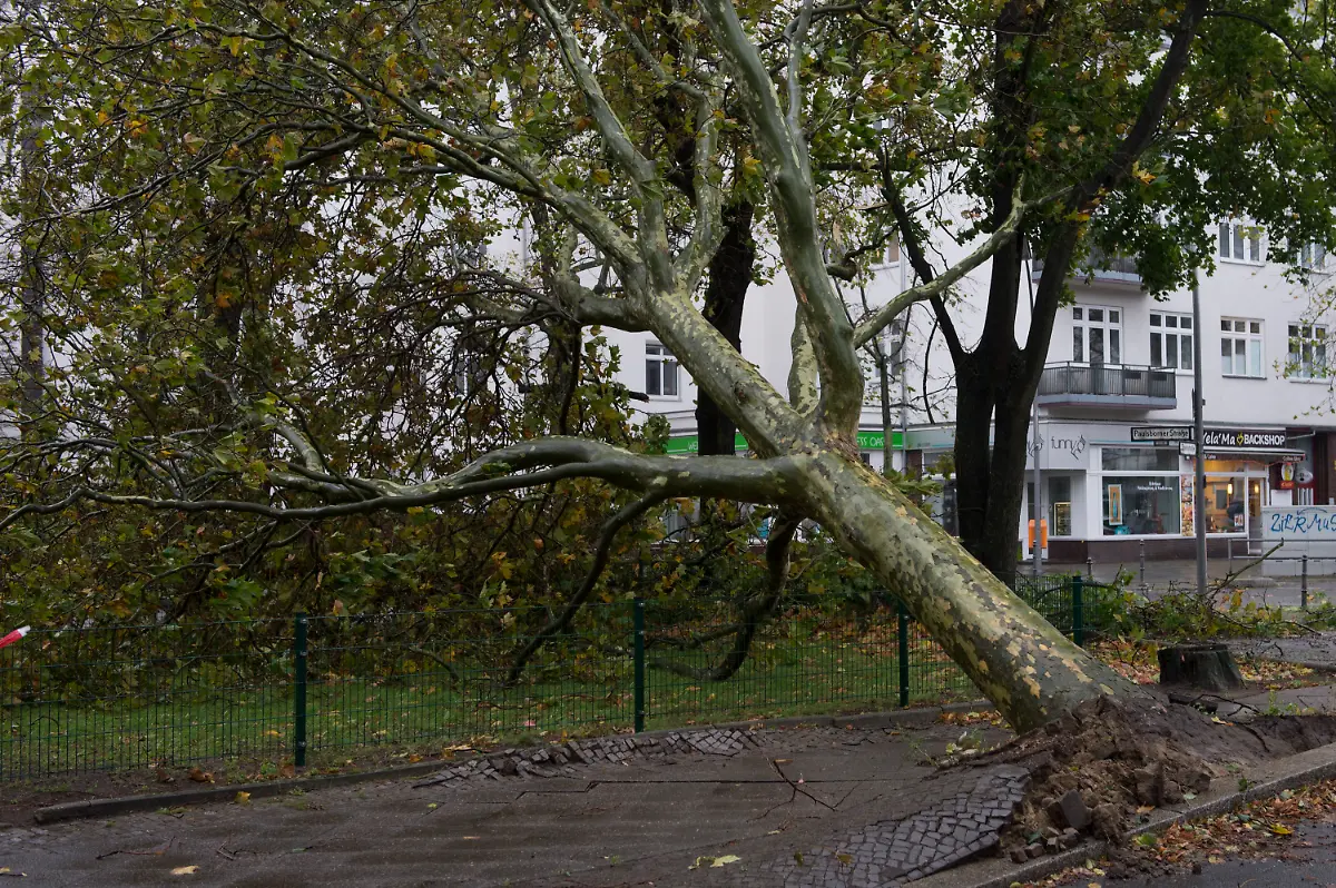 3798cd144700a98809c12bb3a9709bb3