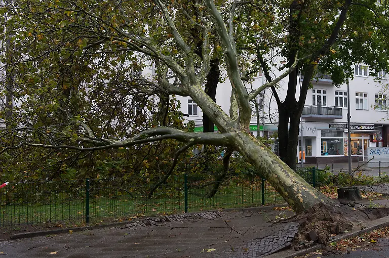 3798cd144700a98809c12bb3a9709bb3