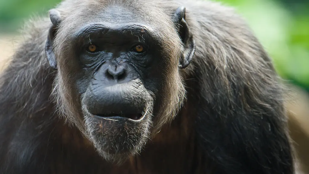 8f34d1e8bcc408b791ee63dff16617ab