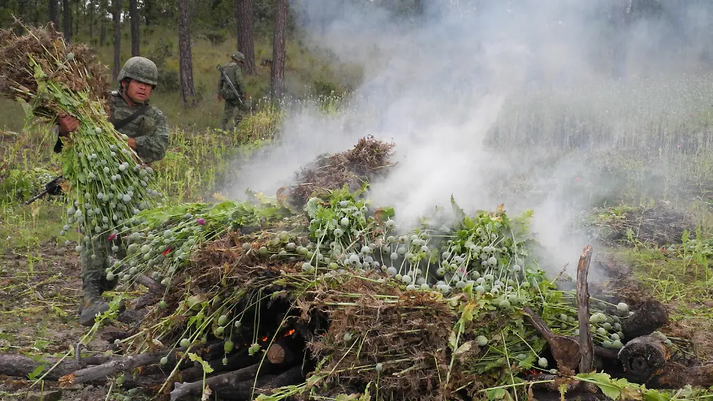 5fa0310fa62b9692c9ee2d5d3959b476