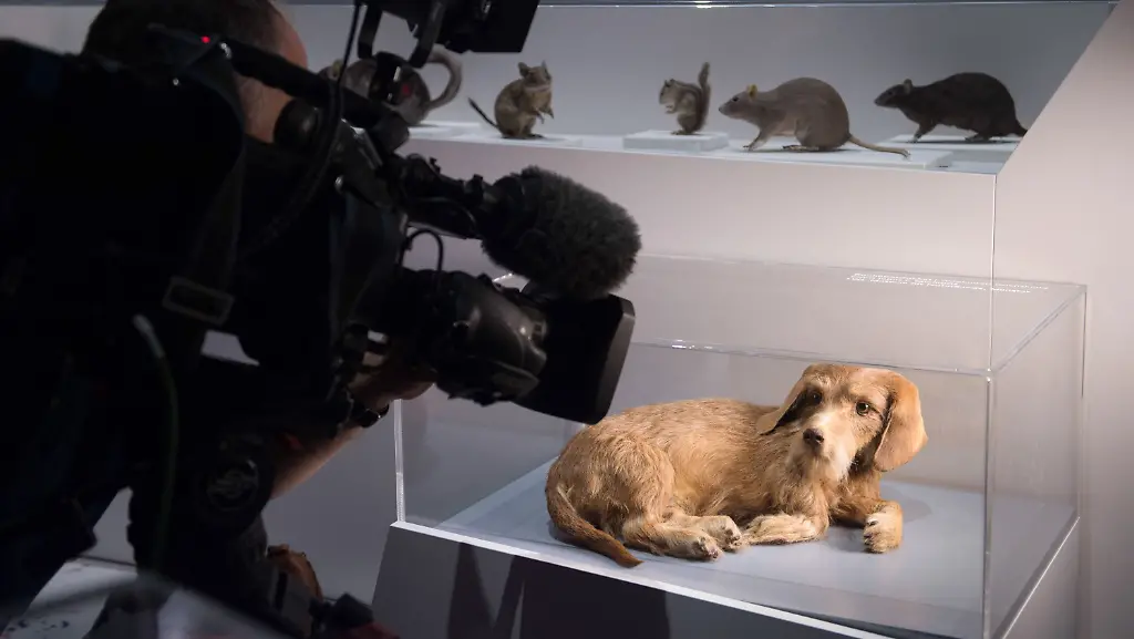 a4d3a838de55672e420f5f5537a69768