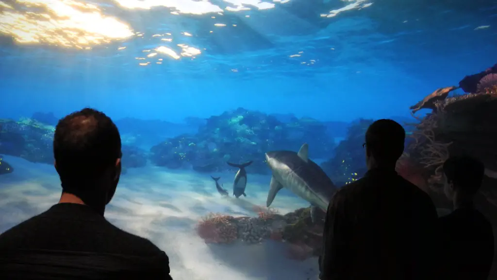 270c7854e1edbef2547357742e00521d