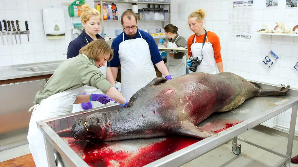 0389e643febf8829e10adc8549c7ad7a