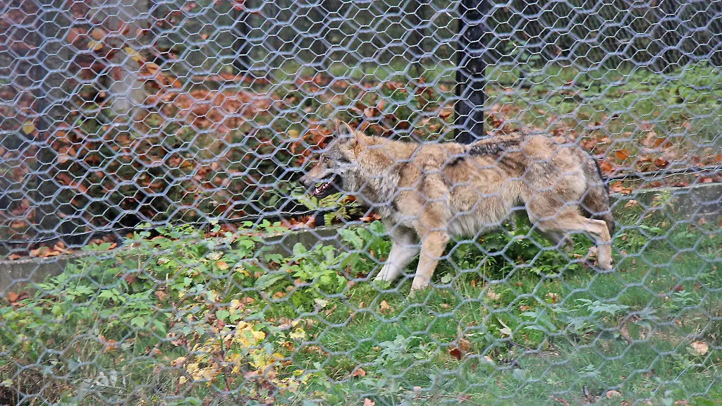 019b2761756e944964e72b84ee4f1518