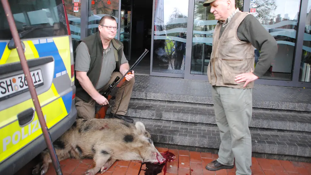 faafe49d74173c8749ef6bb97dbdad12