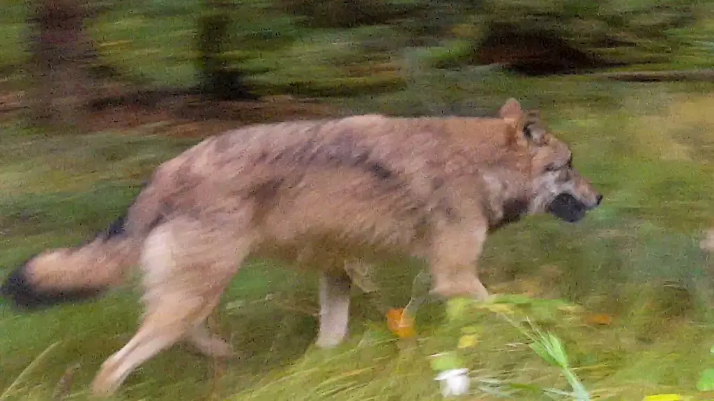 a2c844c139994821eb25c2f4dcfae5d8