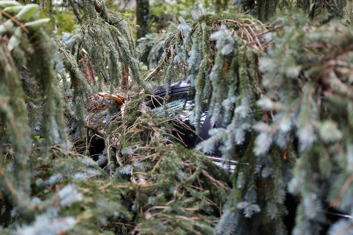 c4394d478e18a4f6254c9b889cbb0a18