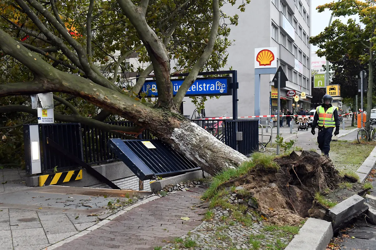 95d9fb83625ca7374900e2910afb6237